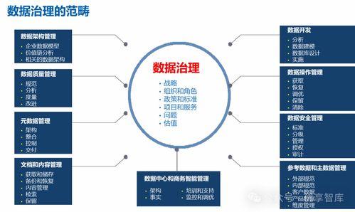 企业数字化转型 战略实践与道法启示